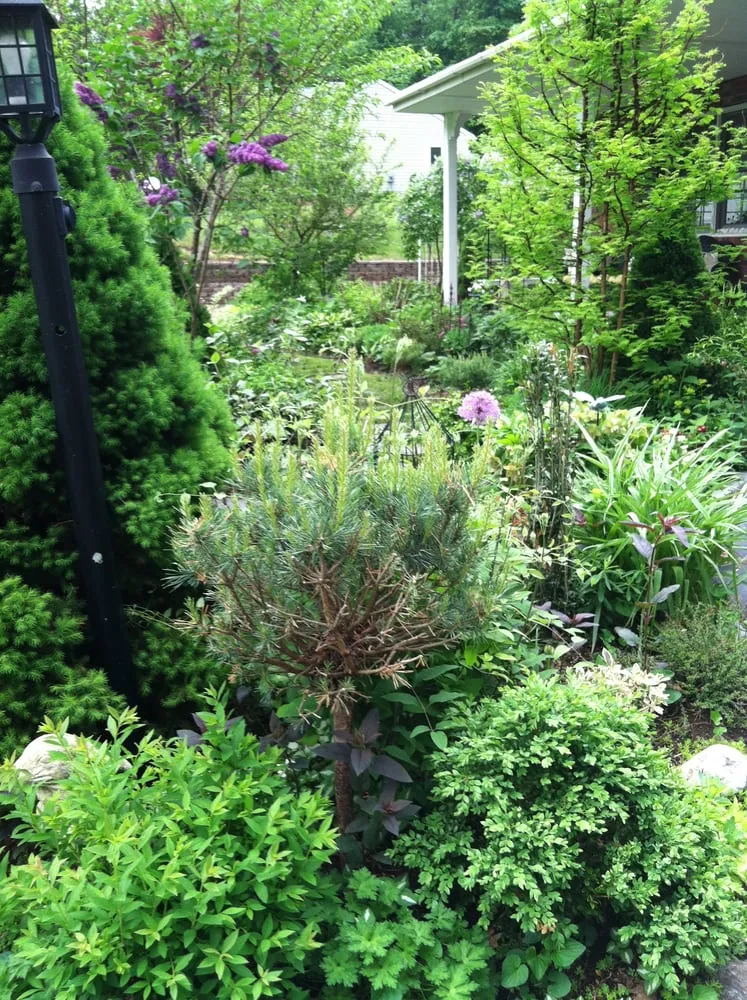 Reliable residential landscaping for outdoor upgrades across West Sand Lake, NY - JM Designs