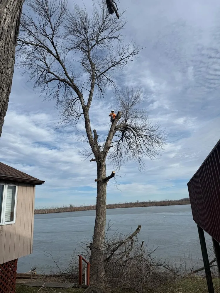 Professional yard maintenance in Columbus Junction, IA - JM Family Tree Service & Lawncare