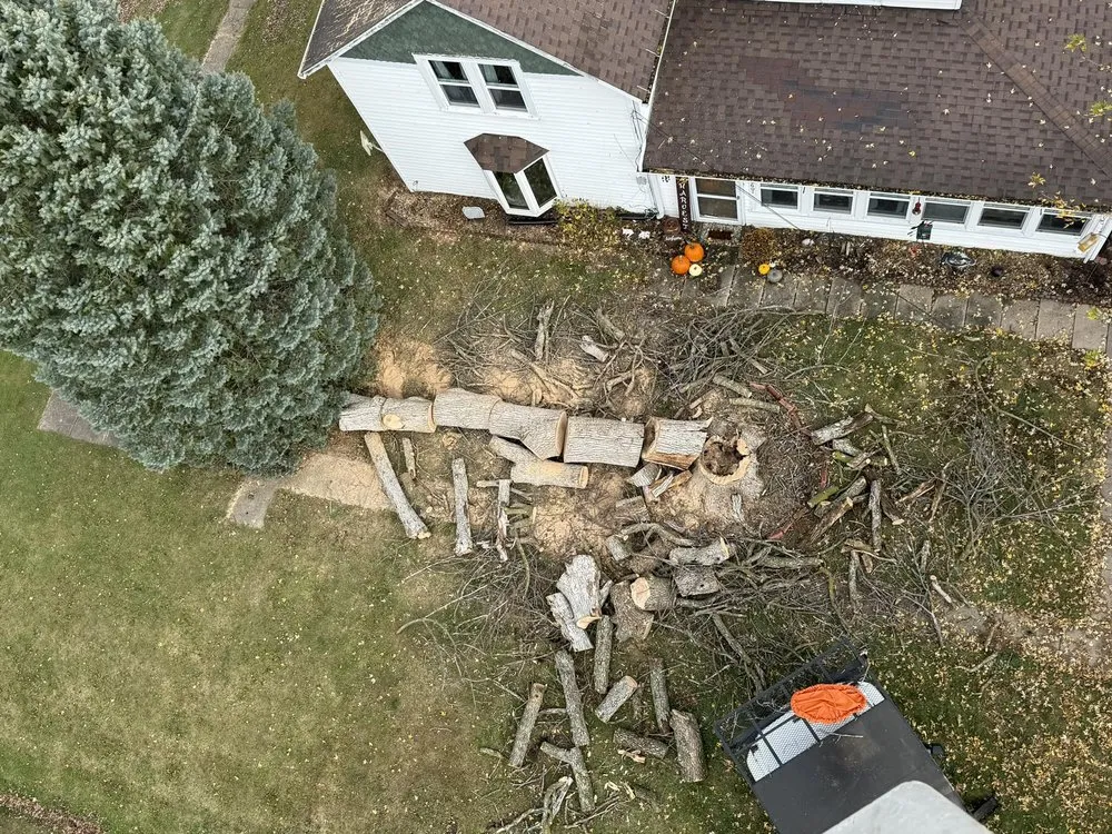 Reliable lawn care service experts serving Columbus Junction, IA - JM Family Tree Service & Lawncare