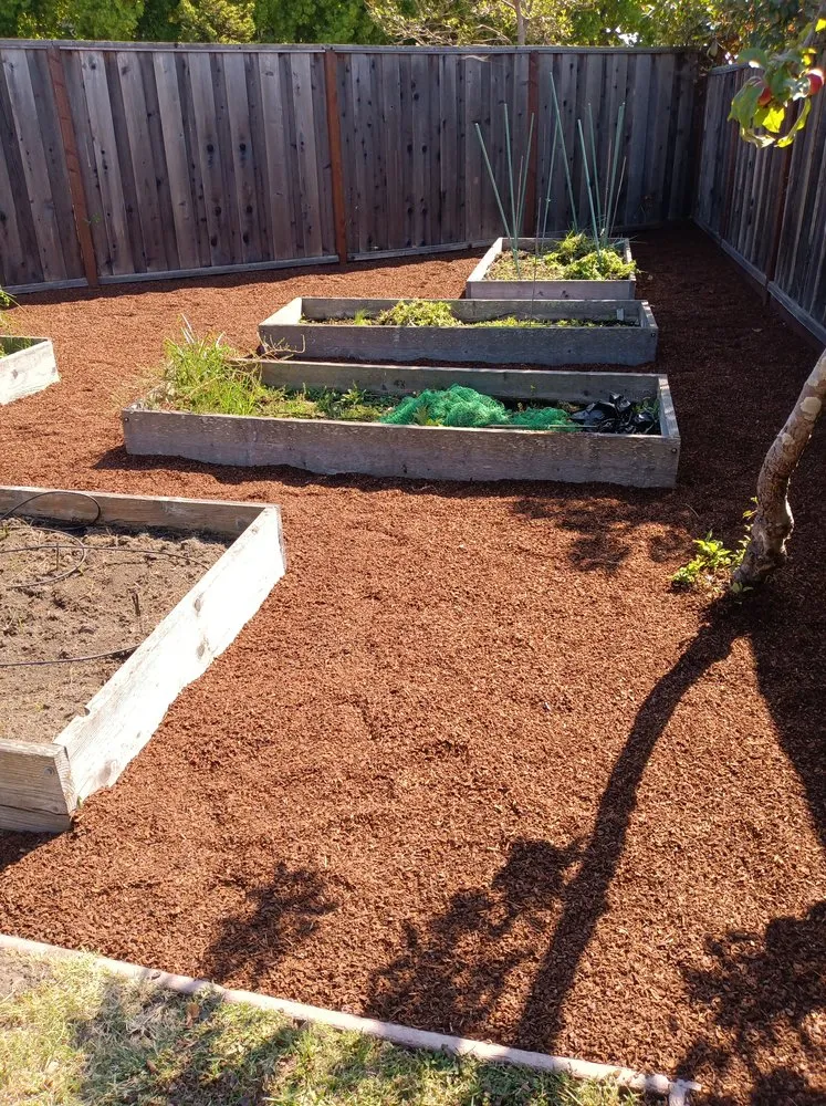 Reliable garden landscaping in Aptos, CA - JM Gardening