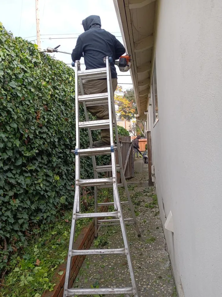 Local landscape design in Aptos, CA by JM Gardening