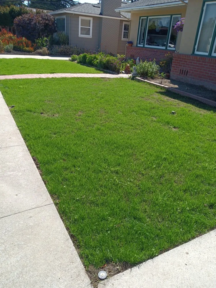 Professional yard cleanup service with custom design across Aptos, CA - JM Gardening