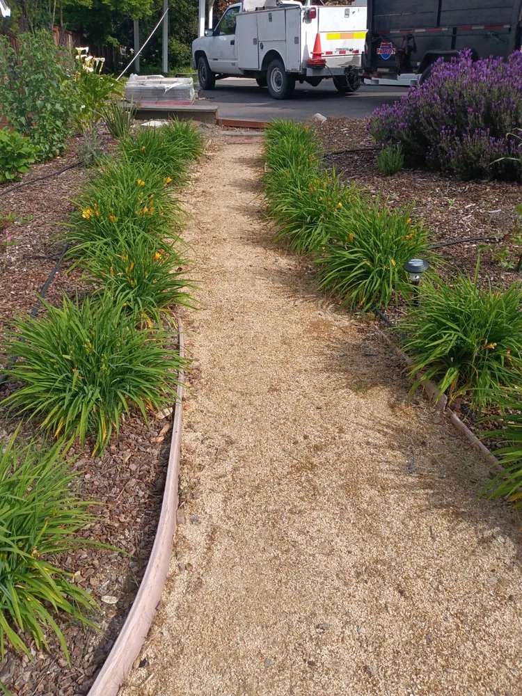 Professional lawn care service in Aptos, CA by JM Gardening