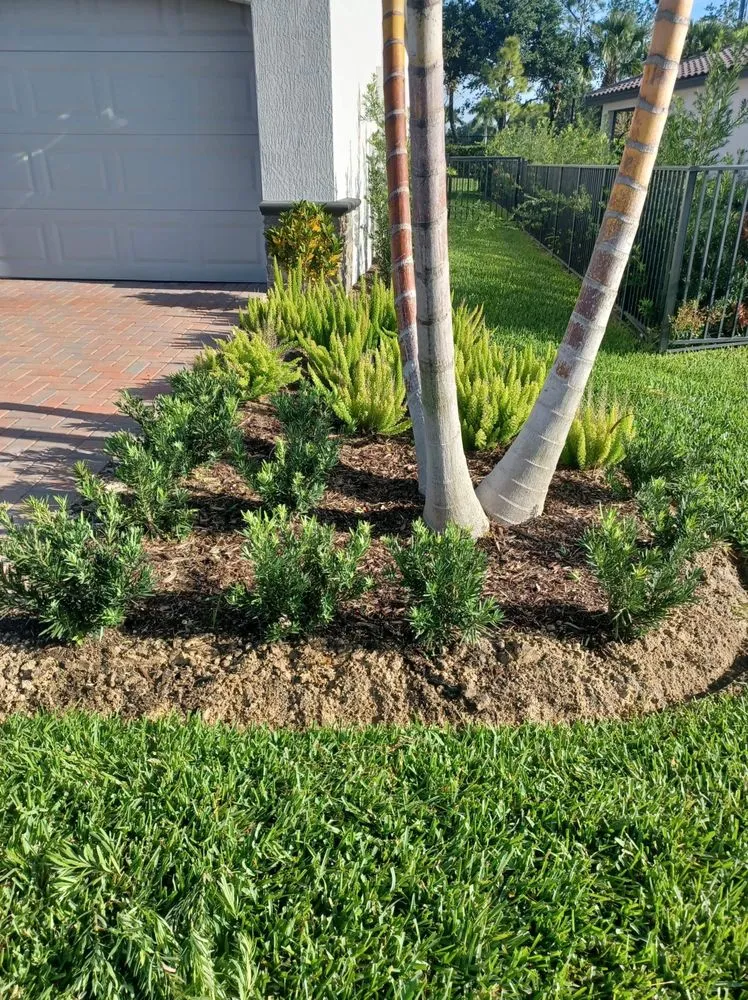 Custom garden landscaping for homes in Palm Springs, FL by JM Génesis Landscaping