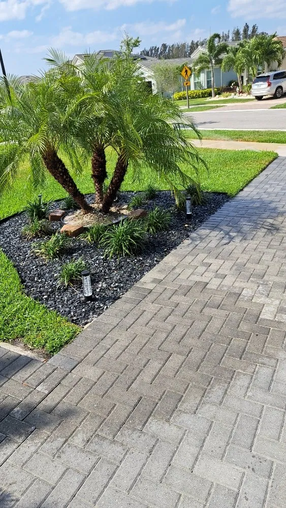 Affordable garden landscaping experts serving Palm Springs, FL - JM Génesis Landscaping