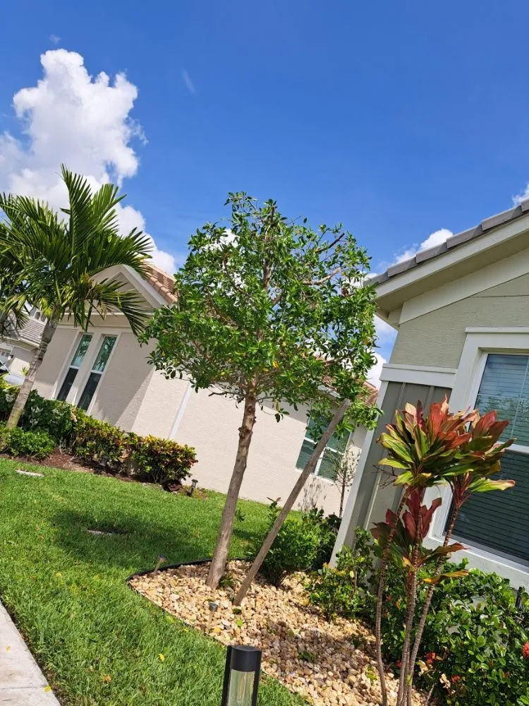 Custom outdoor landscaping in Palm Springs, FL by JM Génesis Landscaping