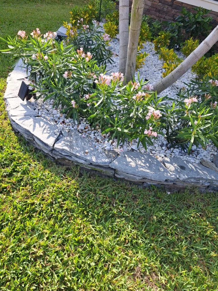 Local landscaping services experts serving Palm Springs, FL - JM Génesis Landscaping