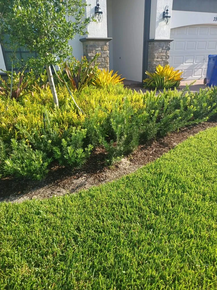 Top-rated garden landscaping in Palm Springs, FL - JM Génesis Landscaping