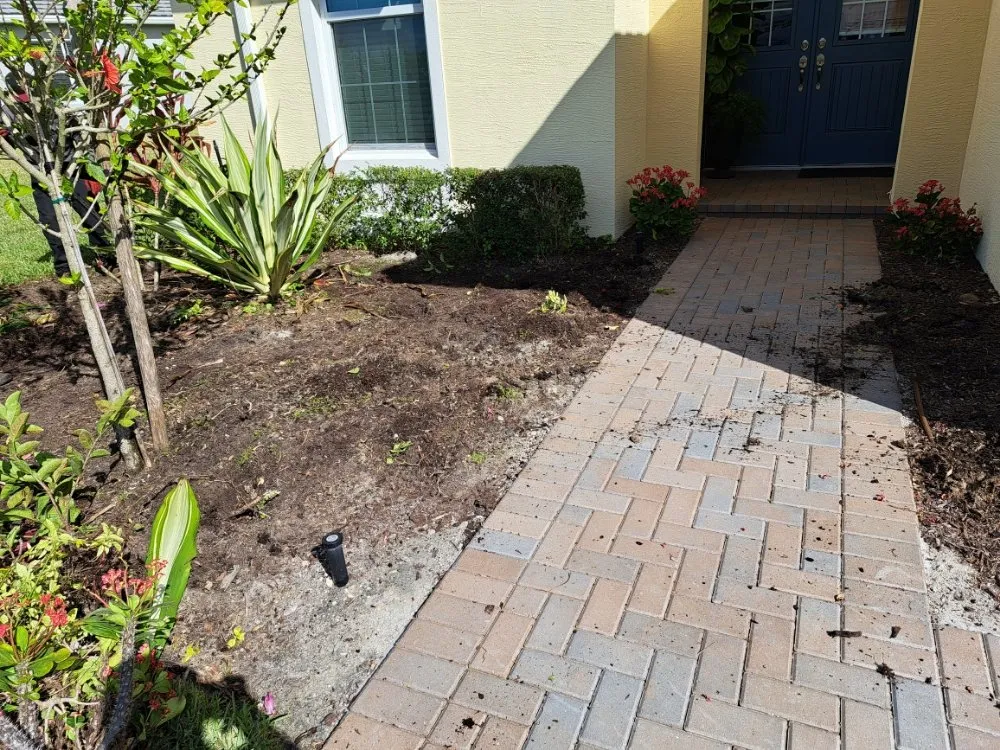 Reliable yard cleanup service for year-round maintenance across Palm Springs, FL - JM Génesis Landscaping