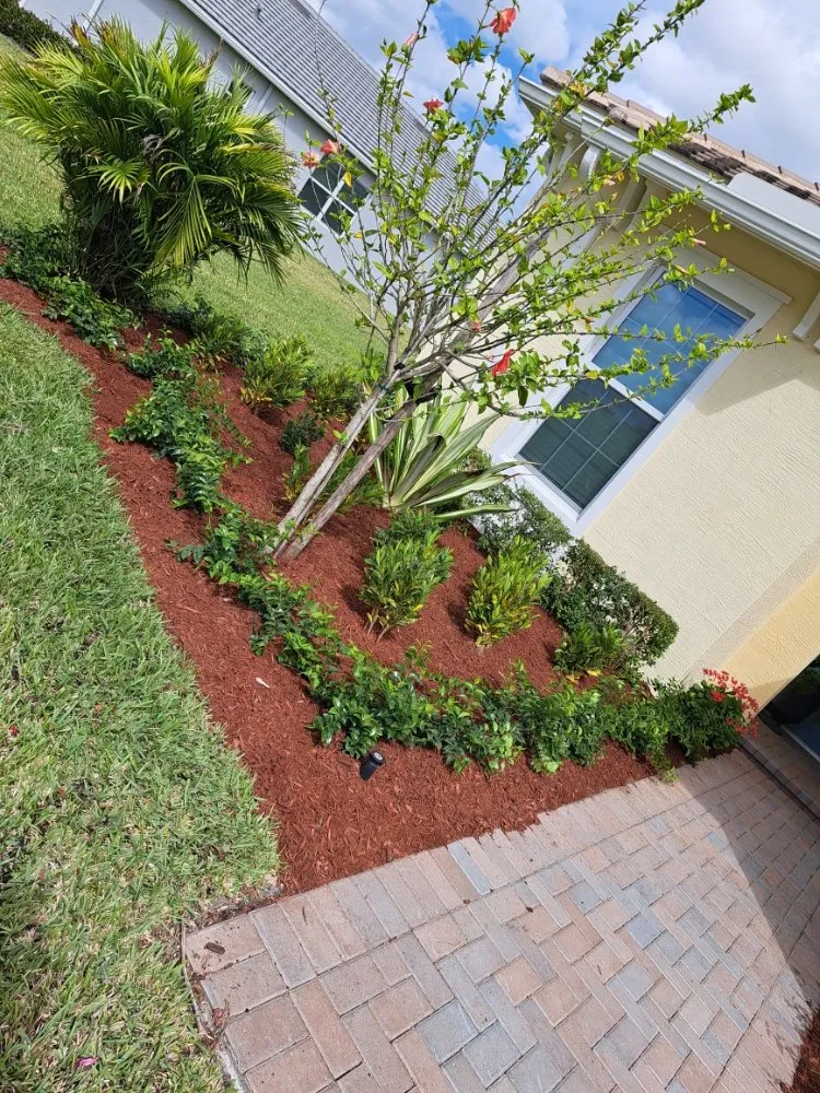 Affordable yard maintenance for year-round maintenance in Palm Springs, FL by JM Génesis Landscaping