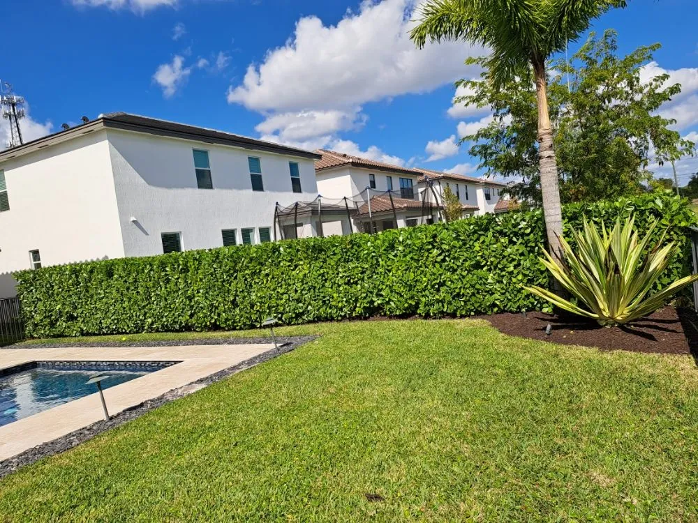 Custom landscape design with custom design in Palm Springs, FL by JM Génesis Landscaping