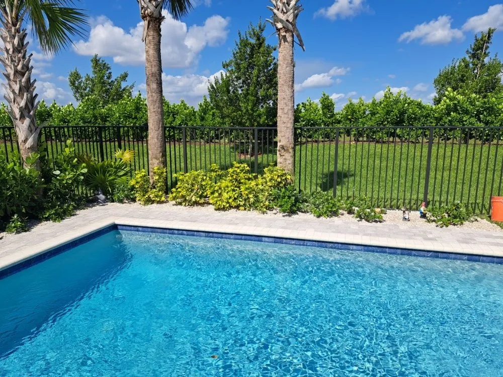 Reliable yard cleanup service in Palm Springs, FL by JM Génesis Landscaping