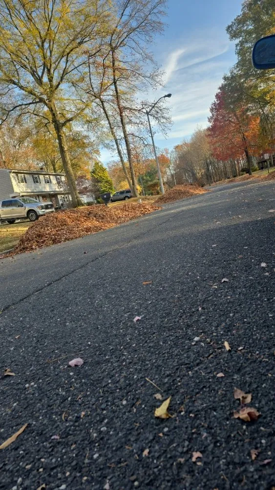 Affordable yard maintenance in Mercerville, NJ by JM Green Life Landscaping