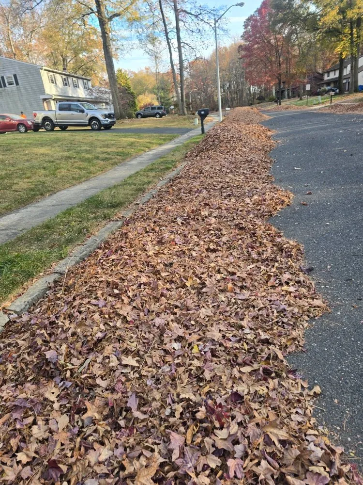Trusted yard maintenance for homes in Mercerville, NJ by JM Green Life Landscaping