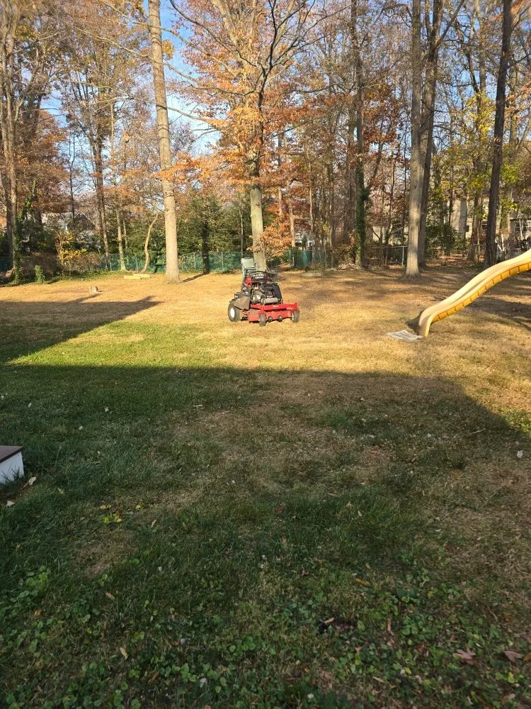 Top-rated outdoor landscaping in Mercerville, NJ - JM Green Life Landscaping