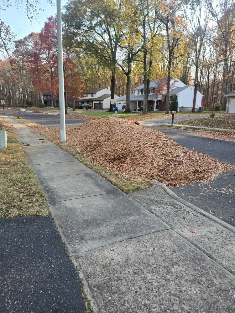 Expert landscaping services experts serving Mercerville, NJ - JM Green Life Landscaping