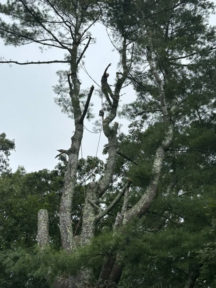 Local landscape installation for residential properties in South Dennis, MA by JM home improvement