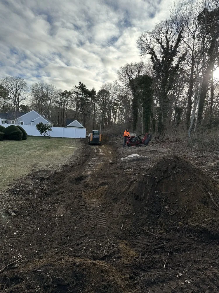 Reliable yard cleanup service in South Dennis, MA - JM home improvement