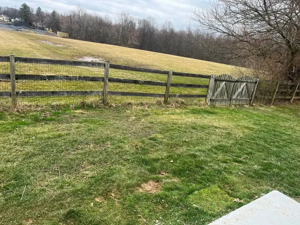 Affordable yard maintenance for year-round maintenance across Damascus, MD - J&M Junk Removal