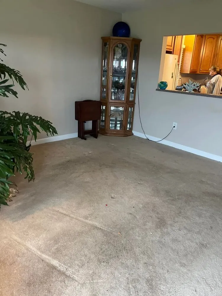 Expert outdoor landscaping for year-round maintenance in Damascus, MD by J&M Junk Removal