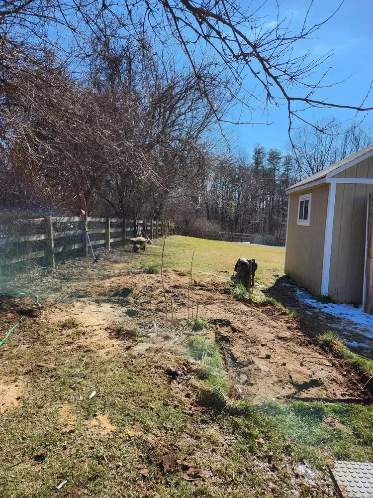 Top-rated yard cleanup service for residential properties in Damascus, MD by J&M Junk Removal