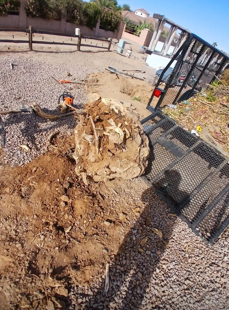 Trusted lawn care service experts serving Chandler, AZ - JM Landscape