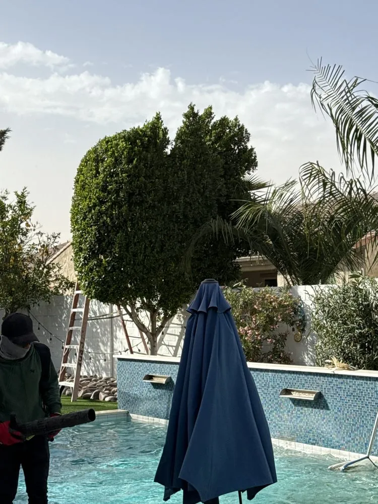 Affordable residential landscaping experts serving Chandler, AZ - JM Landscape