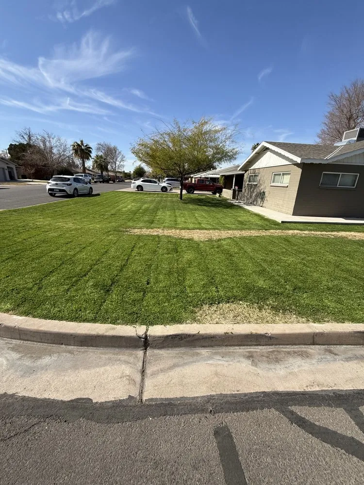 Professional yard cleanup service experts serving Chandler, AZ - JM Landscape