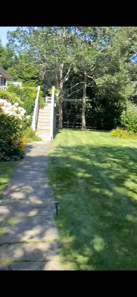 Custom yard cleanup service experts serving Edgartown, MA - Jm Landscape