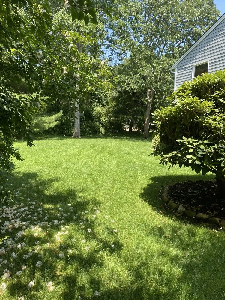 Top-rated yard maintenance experts serving Edgartown, MA - Jm Landscape