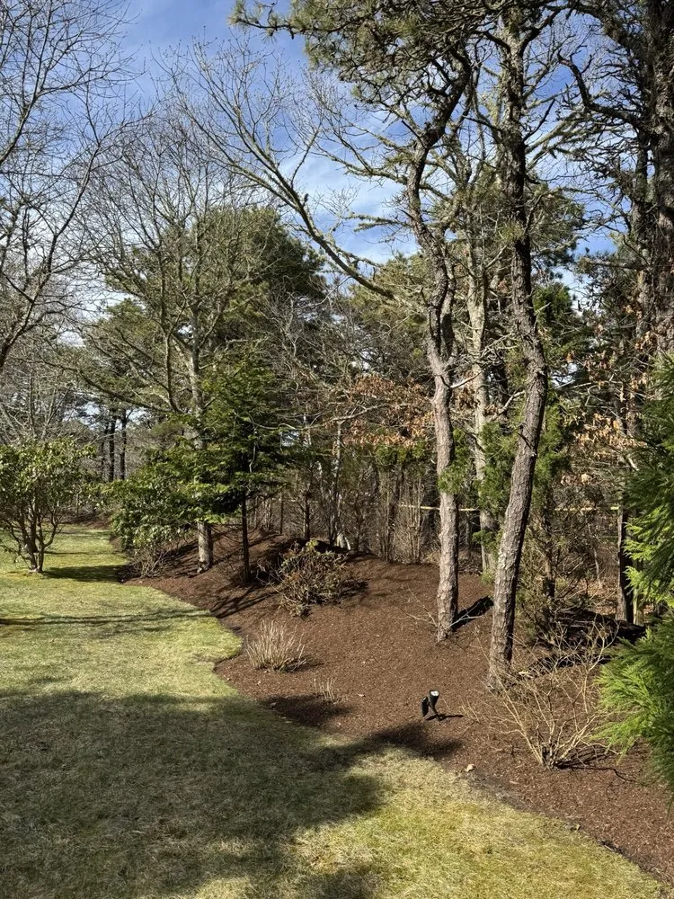 Trusted lawn care service in Edgartown, MA by Jm Landscape