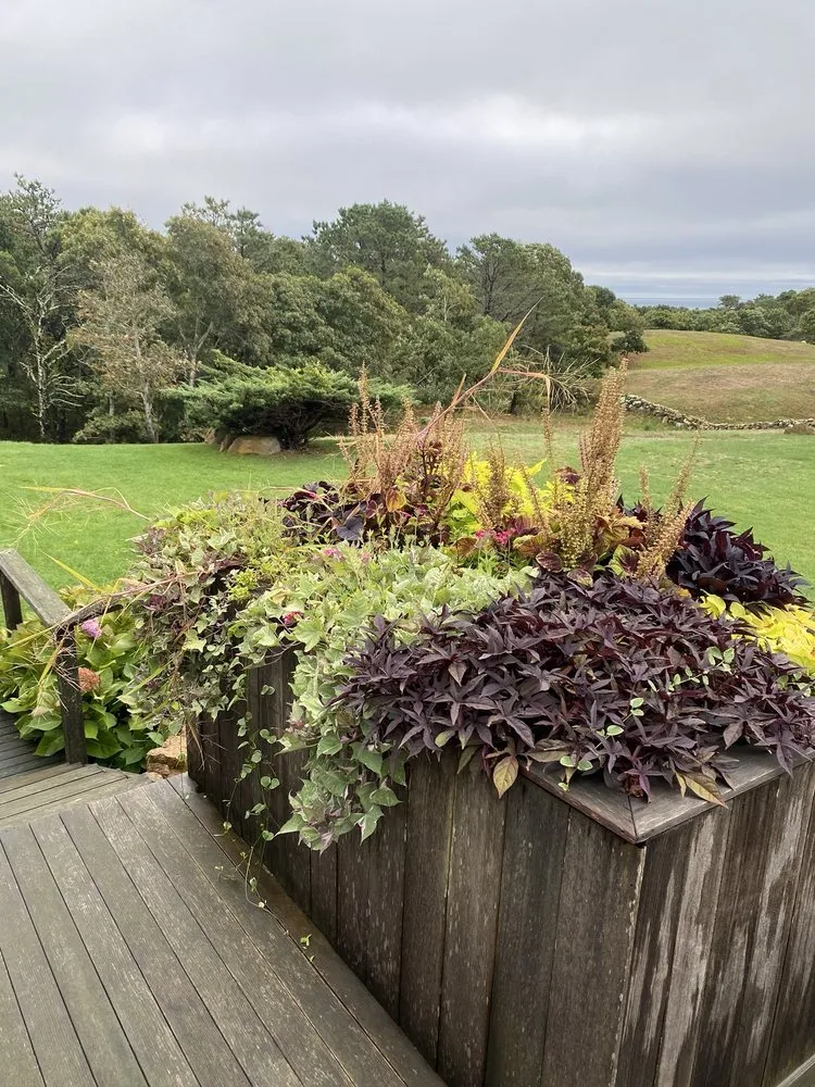 Local landscaping services in Edgartown, MA by Jm Landscape
