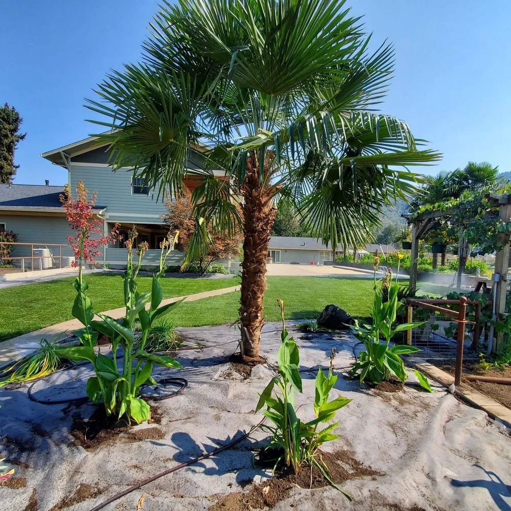 Affordable residential landscaping for outdoor upgrades across Medford, OR - J&M Landscape