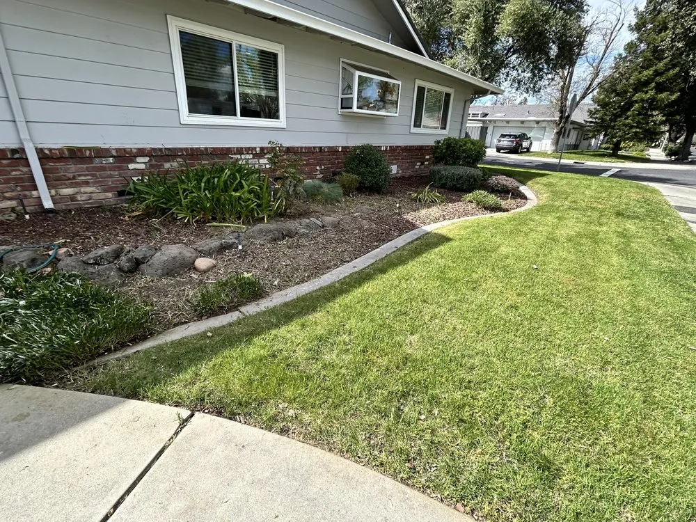 Custom landscape design for year-round maintenance in Modesto, CA by JM Landscape