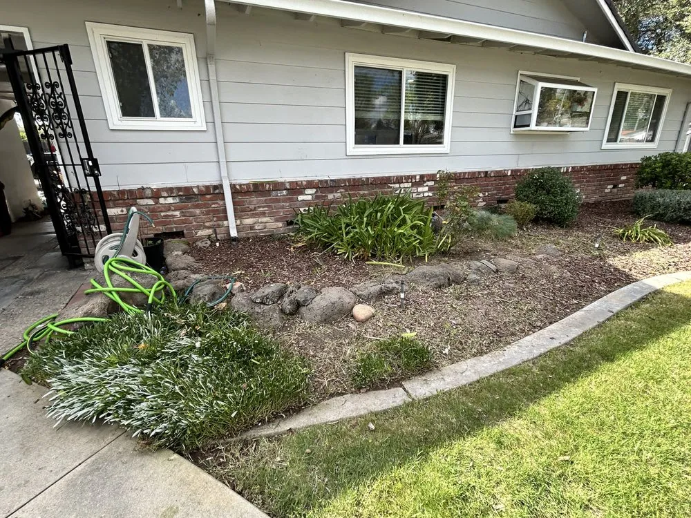 Top-rated yard cleanup service in Modesto, CA - JM Landscape