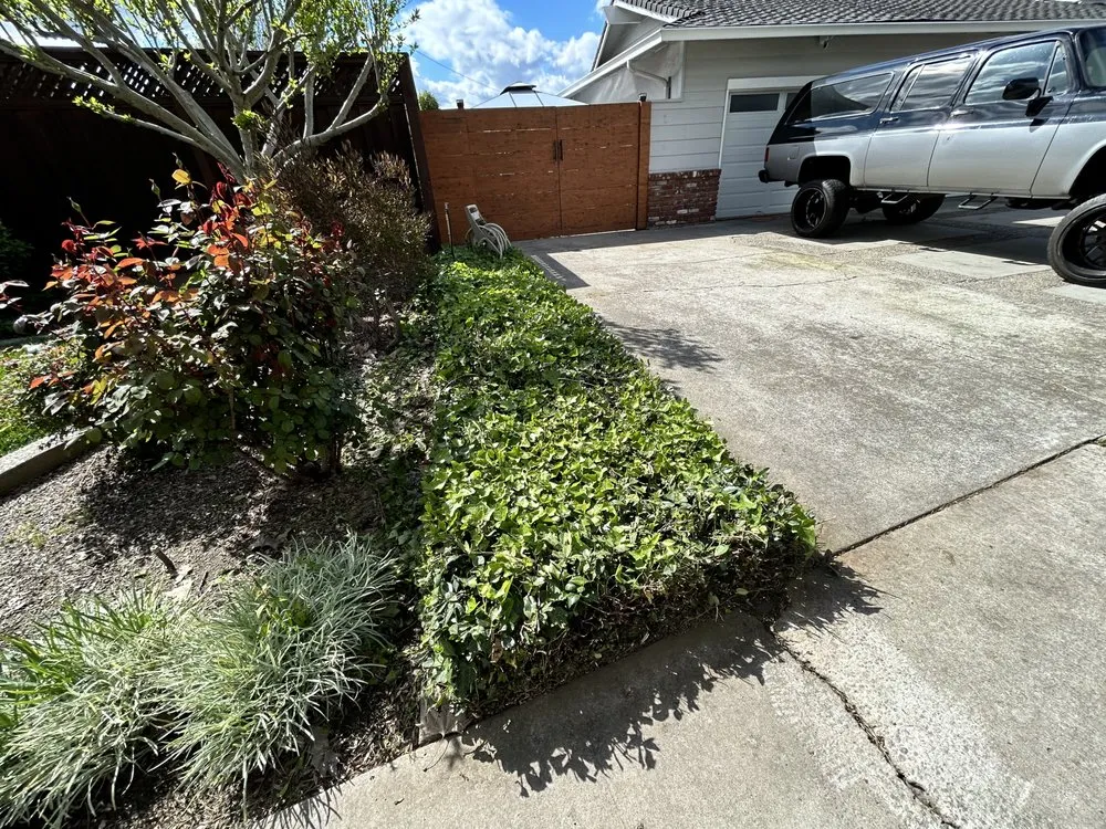 Affordable garden landscaping in Modesto, CA - JM Landscape
