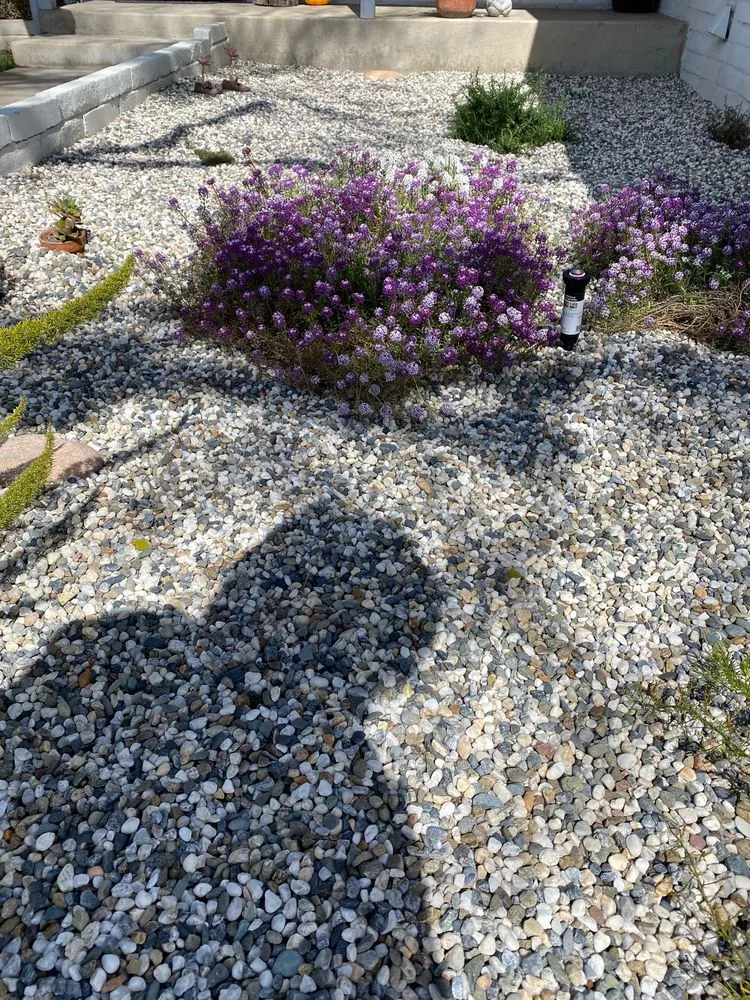 Affordable landscape installation near you across Modesto, CA - JM Landscape