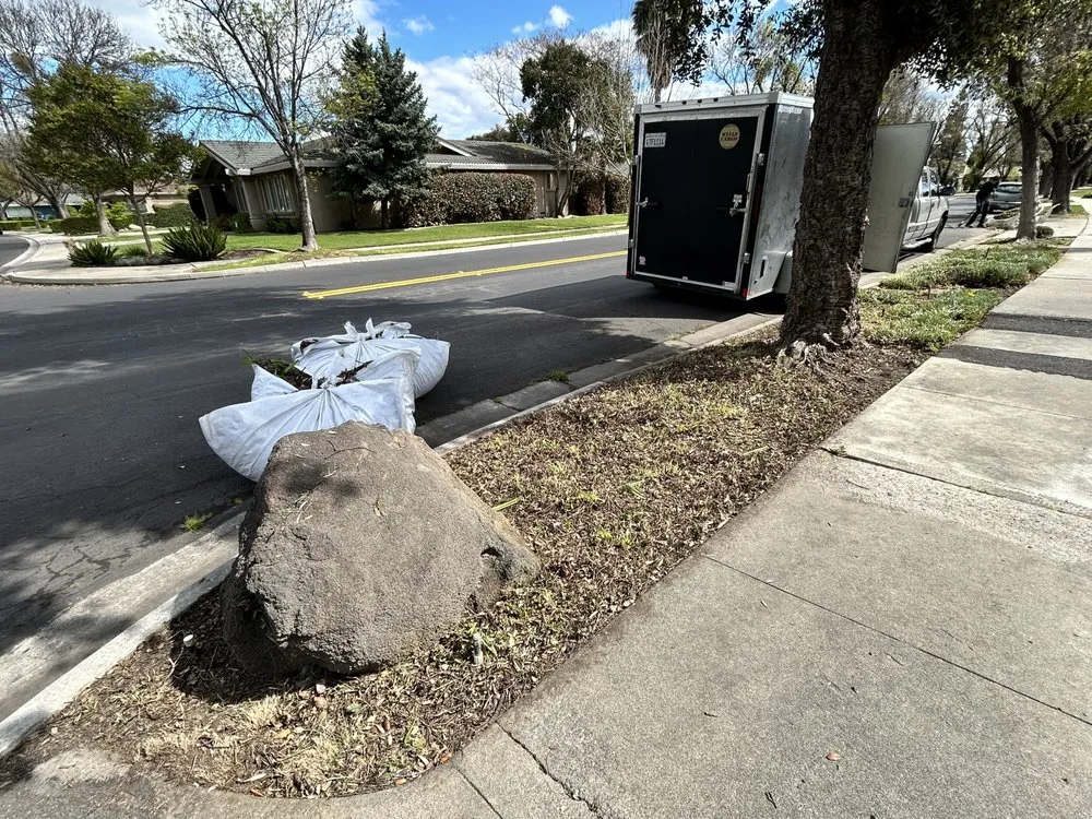 Affordable yard cleanup service in Modesto, CA - JM Landscape