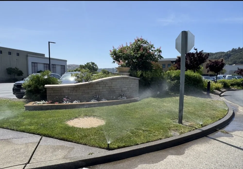 Trusted landscape installation experts serving San Rafael, CA - JM landscape