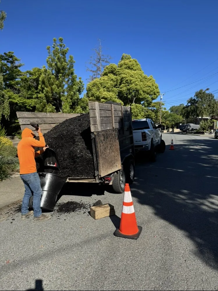 Trusted landscaping services for year-round maintenance in San Rafael, CA by JM landscape