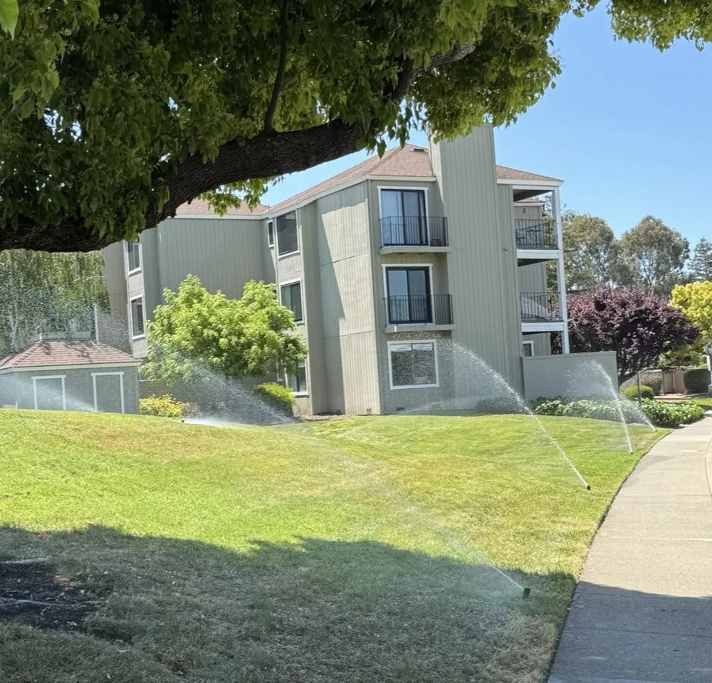 Local residential landscaping for homes in San Rafael, CA by JM landscape