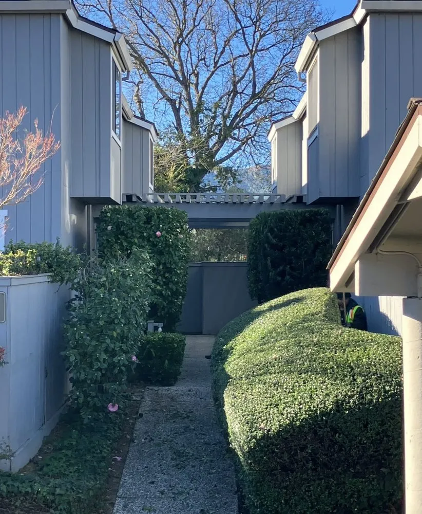 Local lawn mowing service experts serving San Rafael, CA - JM landscape