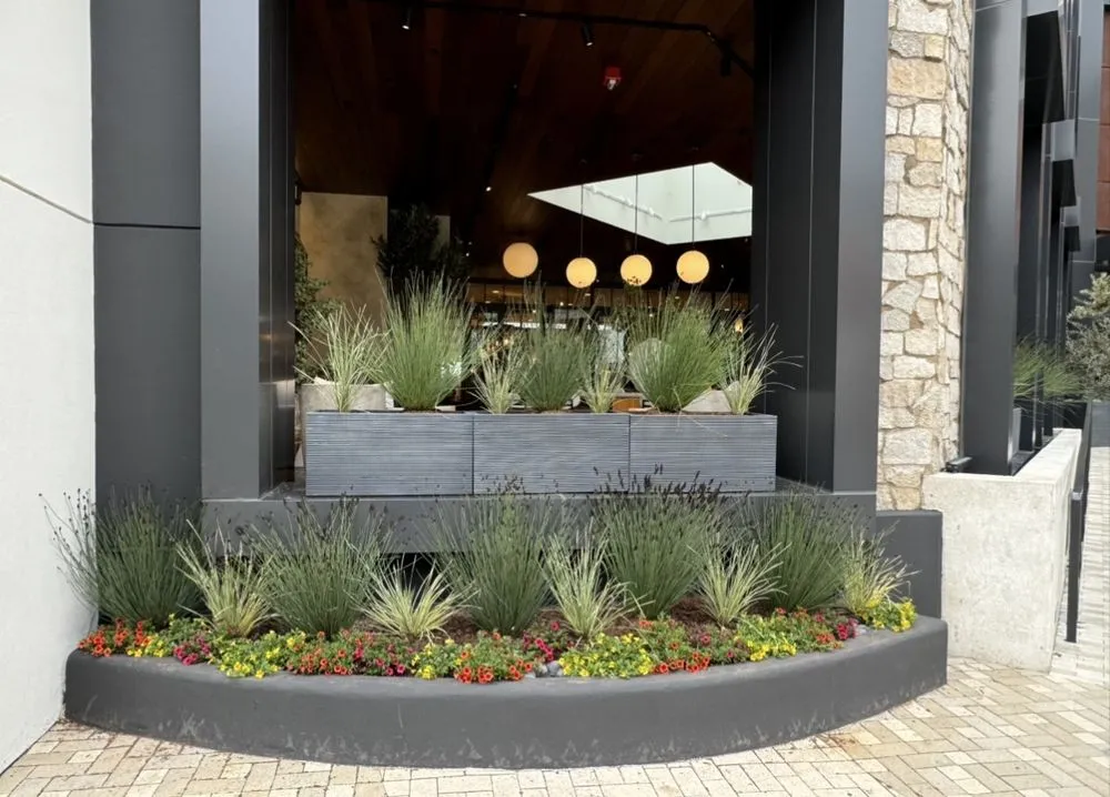 Trusted lawn care service for homes in San Rafael, CA by JM landscape