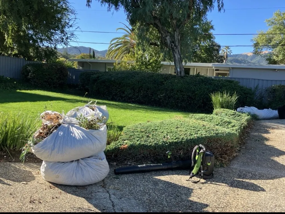 Custom yard maintenance near you in San Rafael, CA by JM landscape