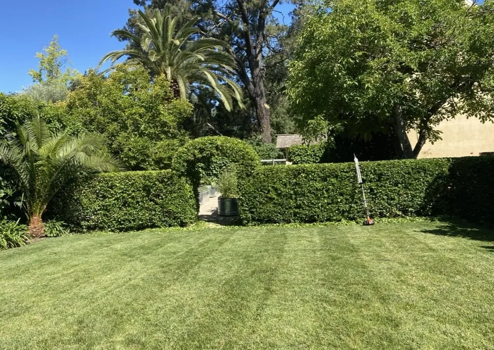 Reliable garden landscaping for year-round maintenance across San Rafael, CA - JM landscape