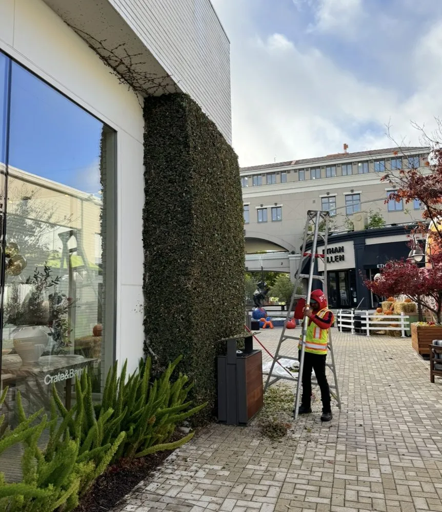 Top-rated outdoor landscaping in San Rafael, CA - JM landscape