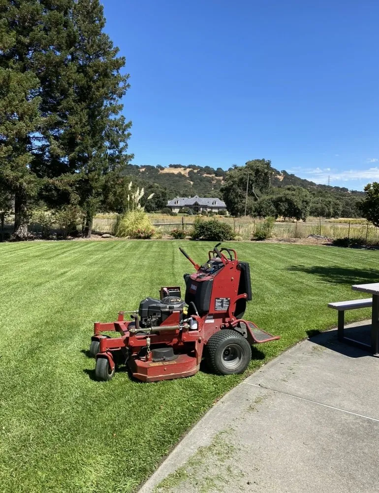 Top-rated yard cleanup service with custom design in San Rafael, CA by JM landscape