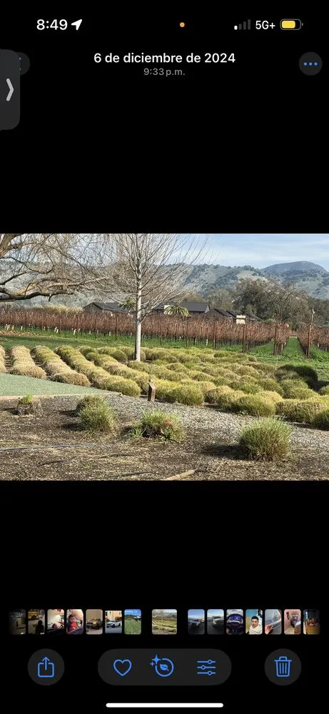 Trusted lawn mowing service in San Rafael, CA - JM landscape