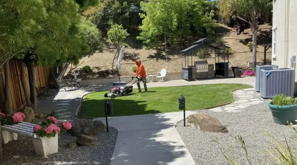Expert outdoor landscaping for year-round maintenance across San Rafael, CA - JM landscape