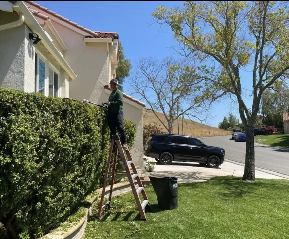 Custom outdoor landscaping with custom design in San Rafael, CA by JM landscape